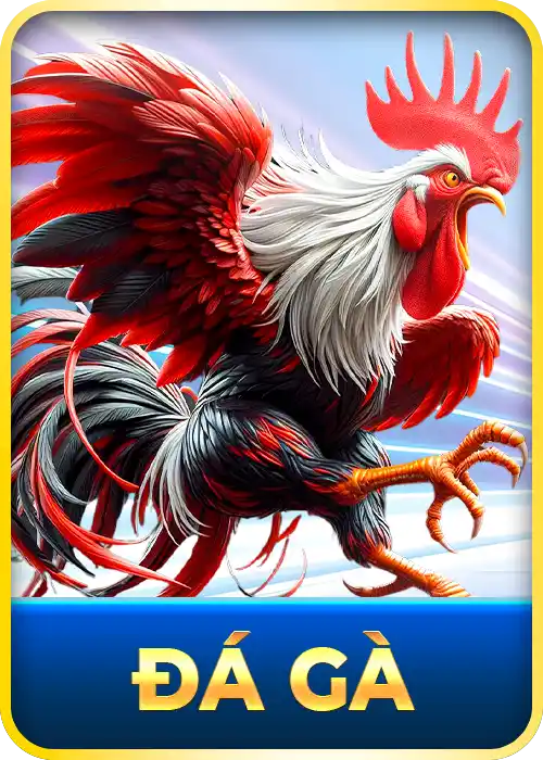 banner đá gà kuwin