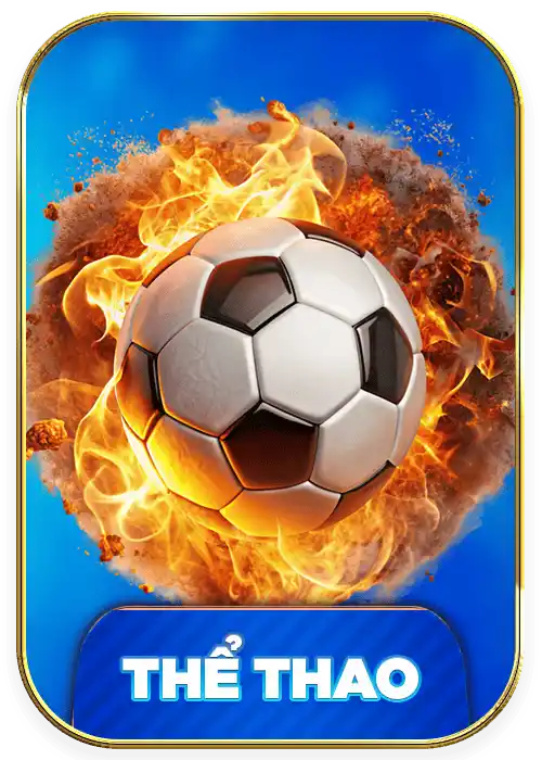 banner thể thao kuwin